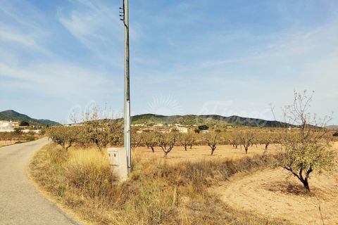 Helårsgrund i Raspay, Murcia, Raspay - € 65.000 | Ref: SF0353 - foto 4